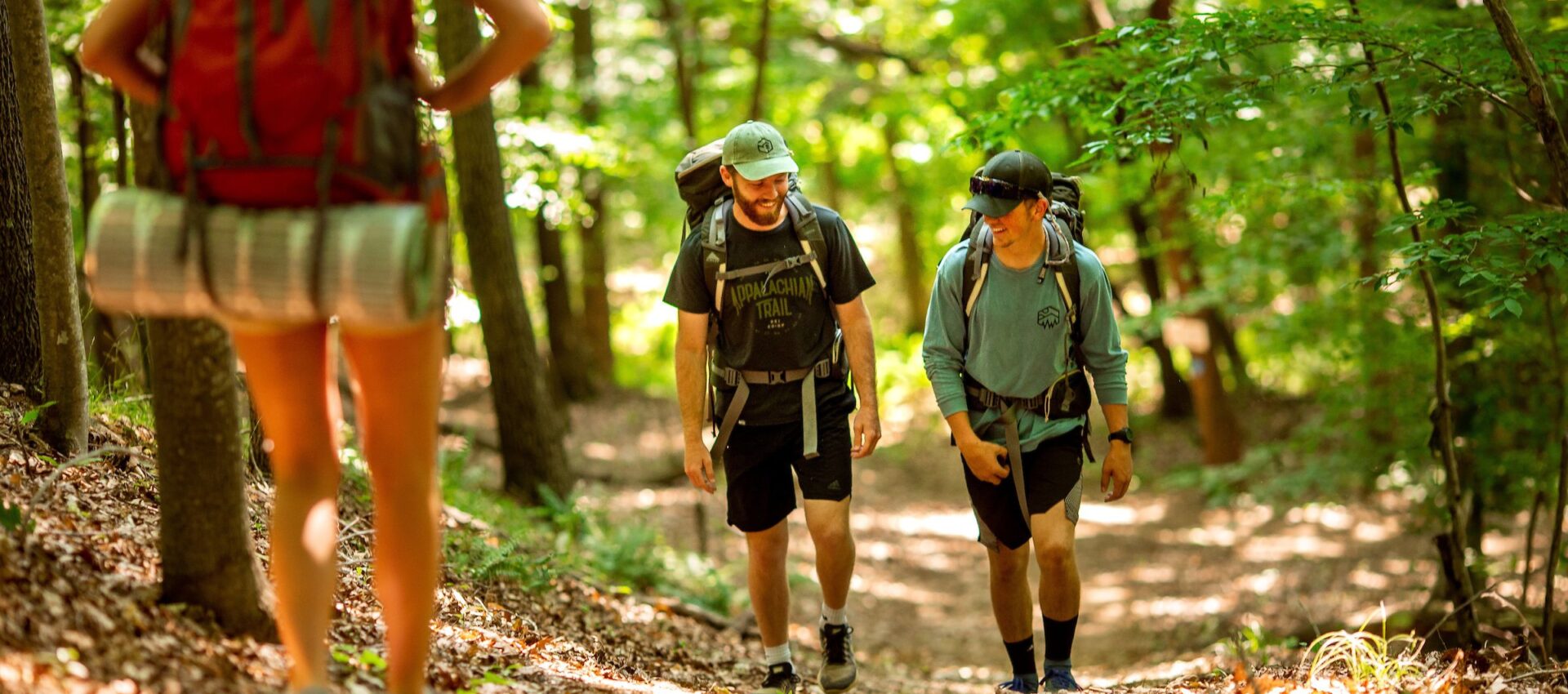 Hikers walk a lush forest trail