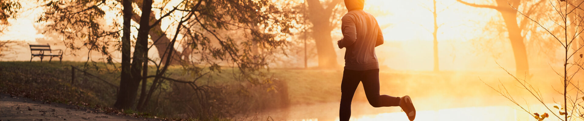 Man jogging in park during autumn sunny morning