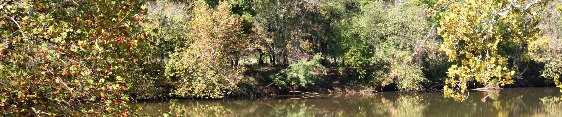 Scenic view of Long Island Park in Campbell County